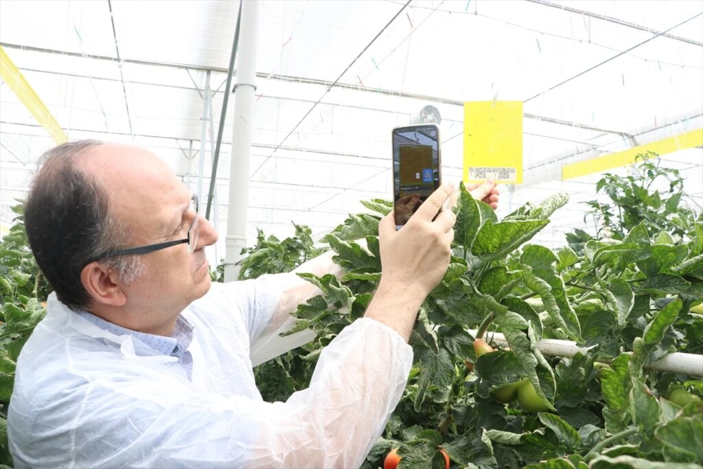 Yapay Zeka ile Tarımda Devrim: Bugmapper Zararlıları Tespit Ediyor