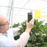 Yapay Zeka ile Tarımda Devrim: Bugmapper Zararlıları Tespit Ediyor