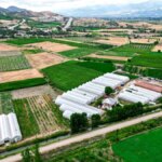 Tokat’ta Öğretmenlikten Çiftçiliğe Geçiş!