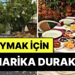 Yeşil Restaurant’ta Ev Yemekleri ve Kalabalık Atmosfer!
