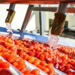 “IPARD Destekleri 81 İle Yaygınlaştırıldı, 635 Milyon Lira Hibe Verildi”