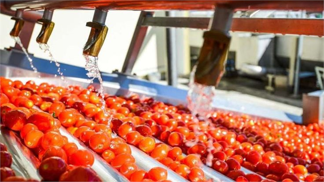 “IPARD Destekleri 81 İle Yaygınlaştırıldı, 635 Milyon Lira Hibe Verildi”