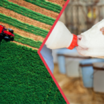 Çiftçilere 112 Milyon TL Destek Ödemesi Yapıldı!