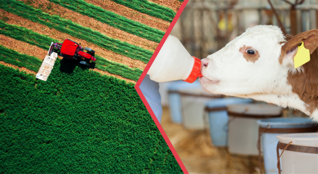 Çiftçilere 112 Milyon TL Destek Ödemesi Yapıldı!