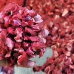 ESK’dan Kırmızı Et Fiyatları İçin Tedbir Açıklaması