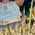 “Hibelerin Süresi Uzatıldı: Detaylar Burada!”