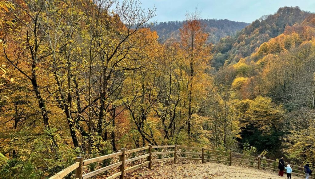 Düzce’nin Aktaş Şelalesi’nde Doğa Yürüyüş Keyfi!