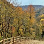 Düzce’nin Aktaş Şelalesi’nde Doğa Yürüyüş Keyfi!