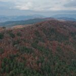 Andırın’da Sonbahar Renkleri: Pancar Yaylası’nda Doğal Güzellikler