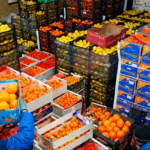 Tarımda Üretici Enflasyonu Ekim’de Yüzde 5 Arttı