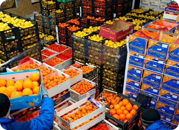 Tarımda Üretici Enflasyonu Ekim’de Yüzde 5 Arttı