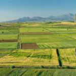 Çiftçilere 252 Milyon TL Destek Ödemesi Yapılıyor!