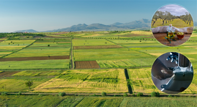 Çiftçilere 252 Milyon TL Destek Ödemesi Yapılıyor!