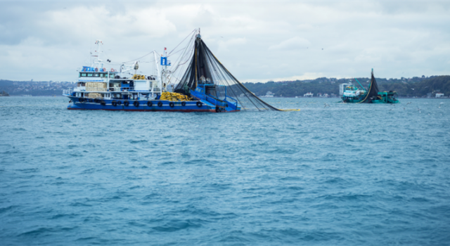 Türkiye, GFCM’den Tam Uyum Ödülü Aldı