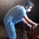 Veteriner Hekimlere Saldırı: TVHB’den Tepki