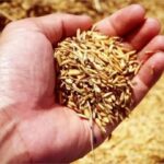 “Tarım ve Orman Bakanlığı’ndan Çiftçilere 331 Milyon TL Destek!”