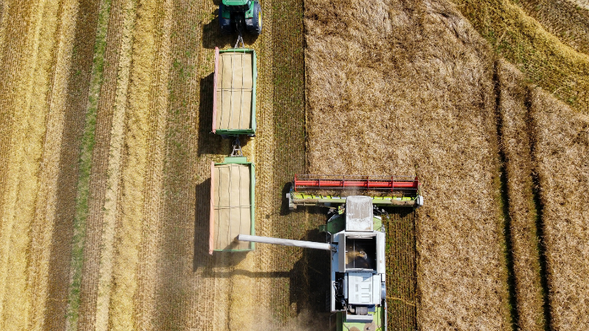 Tahıl Üretimi 2024’te Yüzde 7,5 Azaldı