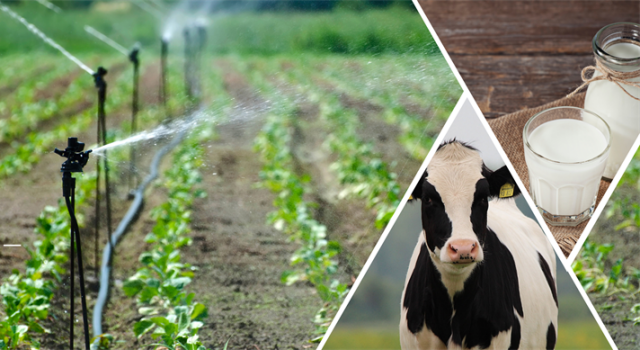 Çiftçilere 1.45 Milyarlık Tarımsal Destekleme Ödemesi!