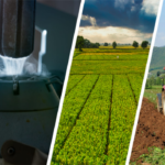 Çiftçilere 323 Milyonluk Destek Ödemesi Var!