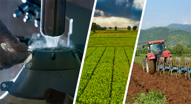 Çiftçilere 323 Milyonluk Destek Ödemesi Var!