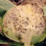 “Yeni Araştırma: İnsanların Mutluluğunu Etkileyen Faktörler”