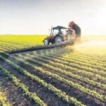 Çiftçilere 331 Milyon TL Destek Ödemesi Yapılıyor