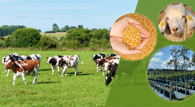 Çiftçilere 509 Milyon TL Destek Ödemesi Yapılacak