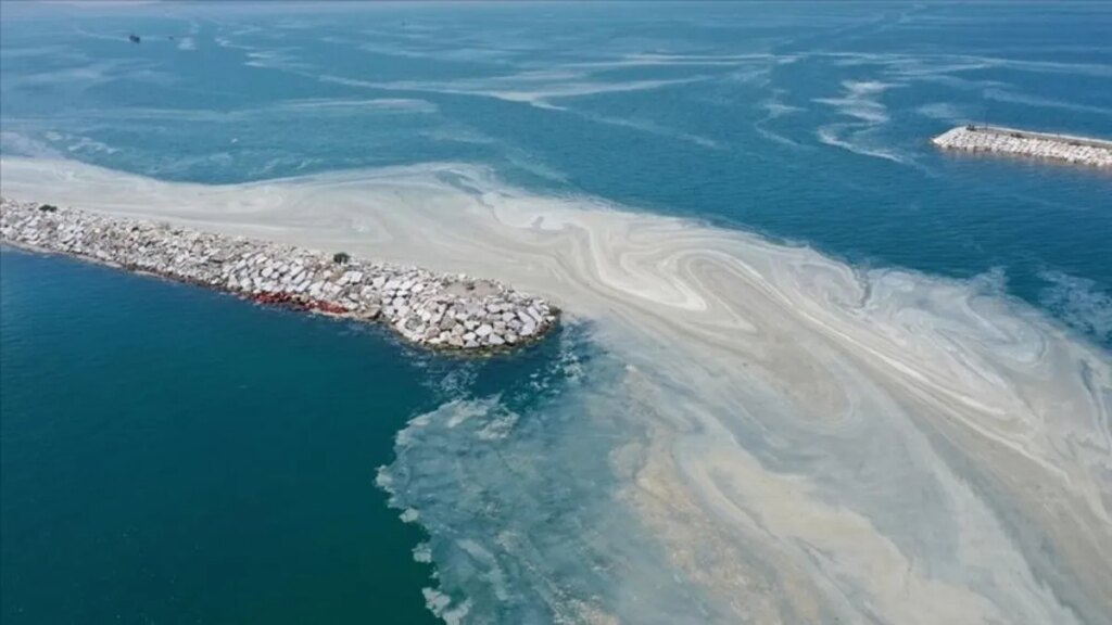 CHP’li Belediyeler Müsilaj Alarmı Veriyor!