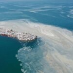 CHP’li Belediyeler Müsilaj Alarmı Veriyor!