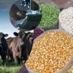 Çiftçilere 2.3 Milyar TL Destekleme Ödemesi Yapılıyor