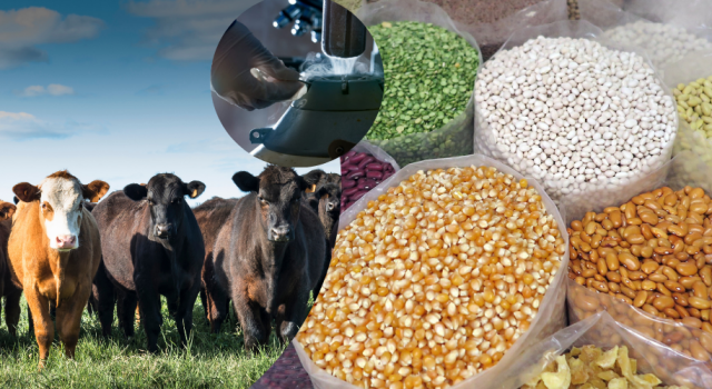 Çiftçilere 2.3 Milyar TL Destekleme Ödemesi Yapılıyor