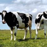 “Çiftçilere 2.3 Milyar TL Destek Ödemesi!”