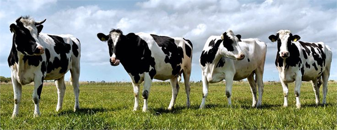 “Çiftçilere 2.3 Milyar TL Destek Ödemesi!”