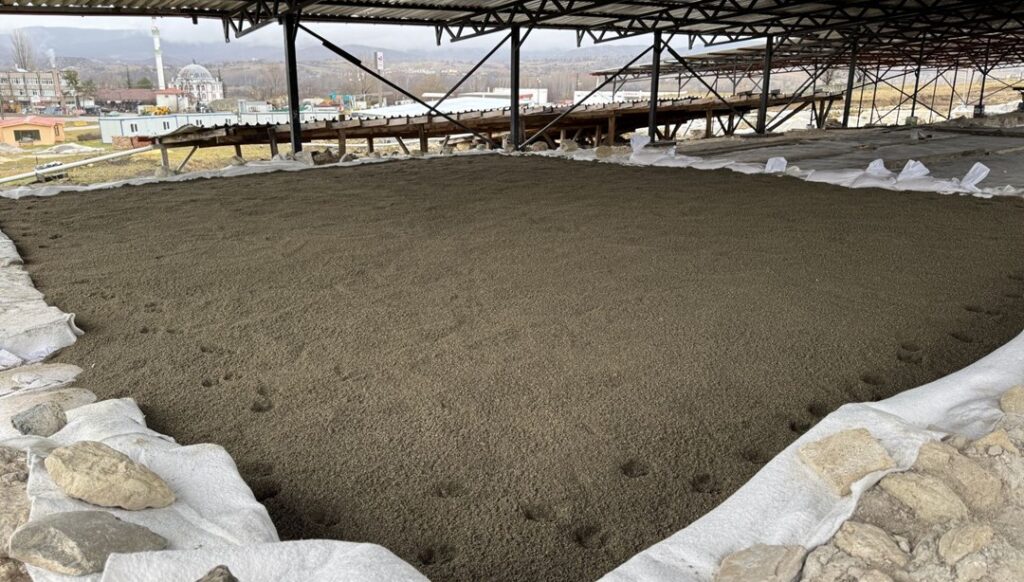 Pompeiopolis’te Devam Eden Kazılar 2025’e Hazırlanıyor