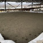 Pompeiopolis’te Devam Eden Kazılar 2025’e Hazırlanıyor