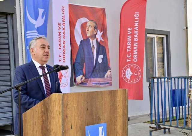 Aliağa’da Pedigrili Damızlık Koçlar Üreticilere Dağıtıldı