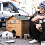 Denizli Belediye Başkanı Hayvan Severlere Destek oldu