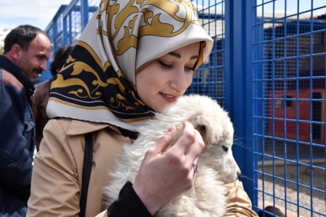 Erzurum’da Dev Hayvan Barınağı Projesi!