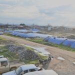 Manisa’da Yeni Proje: ‘Tek Dam’ ile Hayvan Yetiştiricileri Bir Araya Geliyor