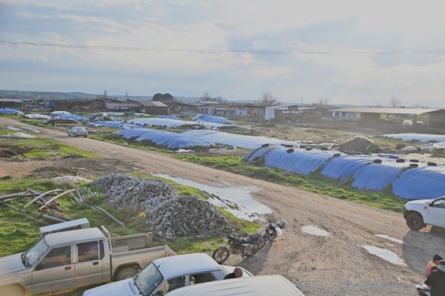 Manisa’da Yeni Proje: ‘Tek Dam’ ile Hayvan Yetiştiricileri Bir Araya Geliyor