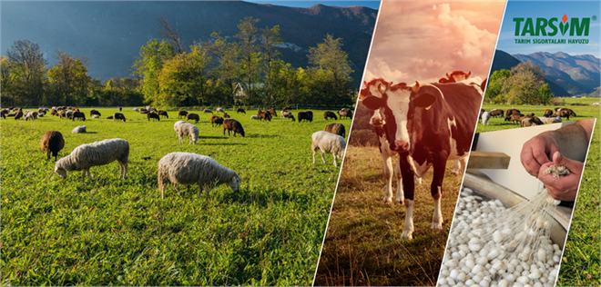 TARSİM’den Yeni Uygulamalar ve İndirimler!