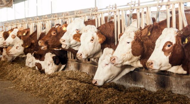 Aksaray’dan Çarpıcı Başarı: Türkiye’de İkinci Sıra!