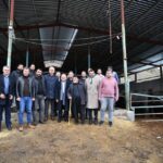 Kayseri Büyükşehir Belediyesi’nden Kayserili Üreticilere Manda Desteği