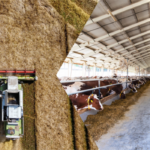 Çiftçilere 985 Milyon Liralık Destek Ödemesi Başladı!