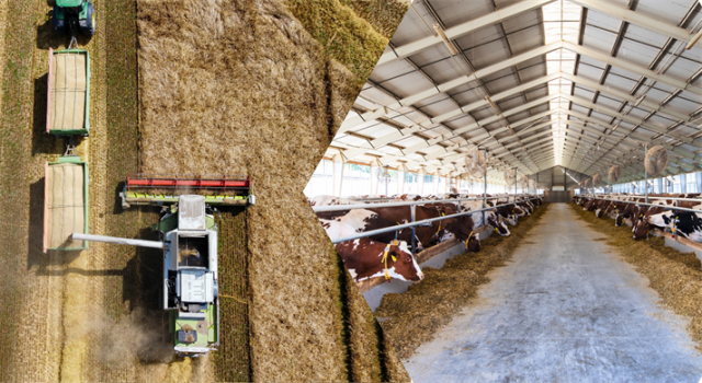 Çiftçilere 985 Milyon Liralık Destek Ödemesi Başladı!