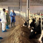 Erzincan’da Ari İşletme Sertifikası Hedefi