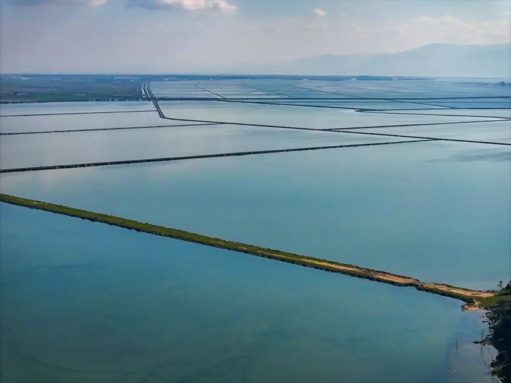 Gediz Deltası: Kuraklık ve Kirlilik Tehdidi