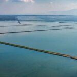 Gediz Deltası: Kuraklık ve Kirlilik Tehdidi