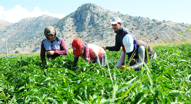 Küçük Aile İşletmelerine Destek Başvuruları Başladı!