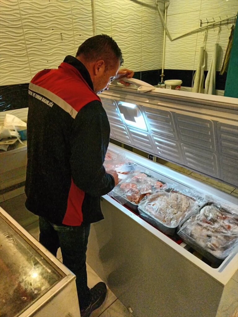 İzmir’de Kaçak Kırmızı Et ve Balık Operasyonu